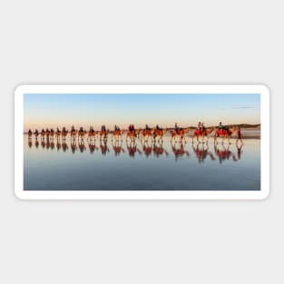 Camel Riders, Cable Beach, Broome WA Sticker